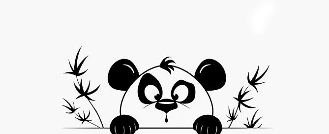 ¿Sabes qué es el Panda de Google?